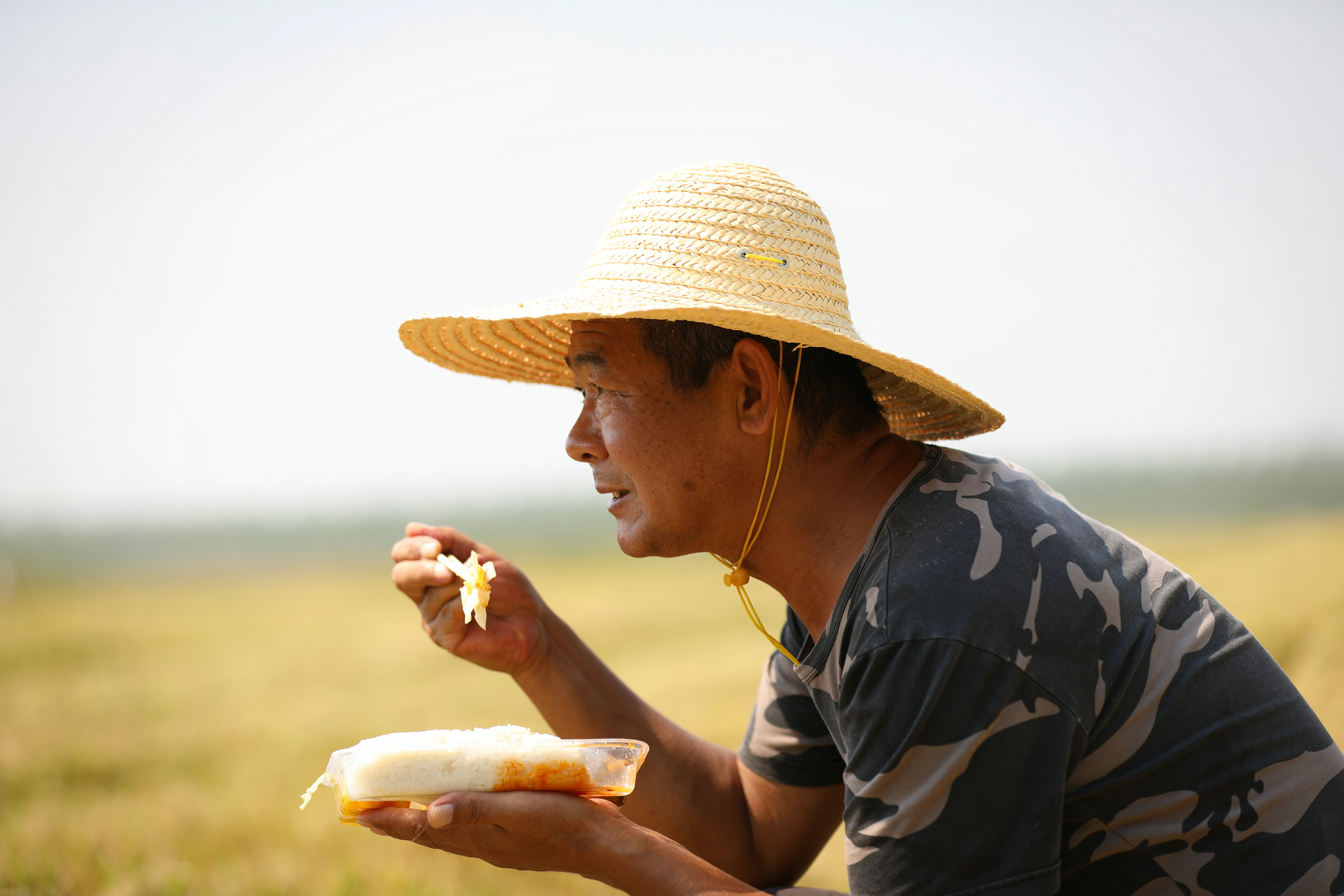 湖北沙洋：金秋硕果 稻香满仓