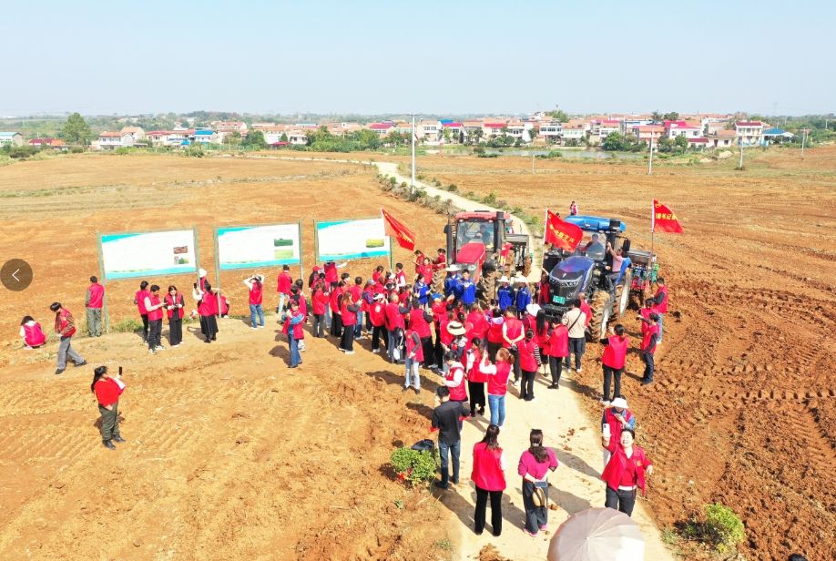 孝感孝南：“数字兵”走进小麦基地，开拓农业电商新视野