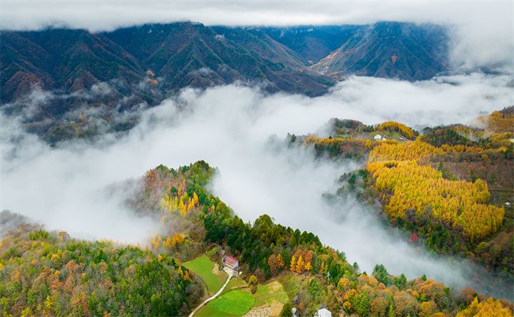 秋染神农架 群山披彩裳