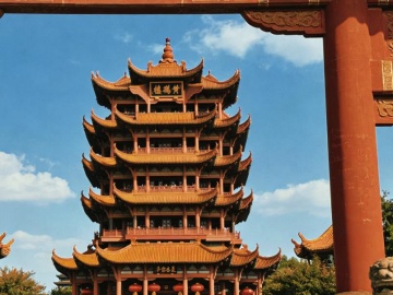 九派早读 | 武汉人也有自己的雪狐了，就在市区