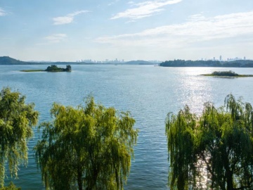 石破茂辞去日本自民党总裁职务