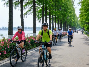 2026湖北省艺考成绩查询系统入口https://www.hbea.edu.cn/