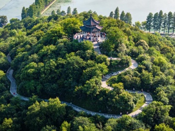 如何看待桃李面包月饼广告语引争议