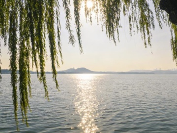 小米内部通报：王腾因泄密被辞退