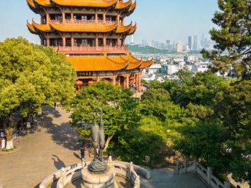 九派早读 | 武汉人也有自己的雪狐了，就在市区